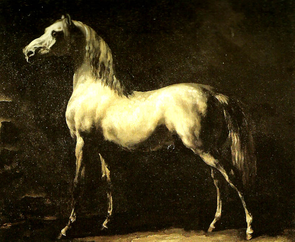 cheval gris